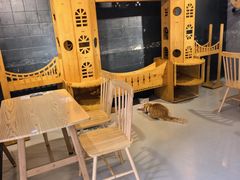 -豆逗聊愈猫阁Easy Life