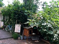 -海边的猫和咖啡馆