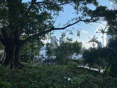 -九龙公园