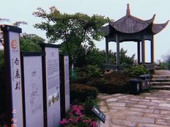 景点-鹿亭中村