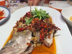 -杨氏青龙虾·羊蝎子(托乐嘉店)