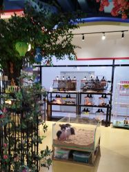 -开心哈乐儿童主题乐园(孙河易事达店)