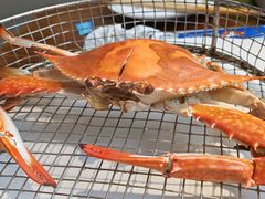 -海味当家·蒸锅海鲜(星海公园店)