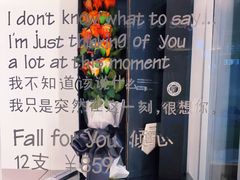 -Blueglass酸奶(财富购物中心店)