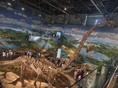 -自贡恐龙博物馆