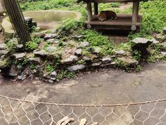 -杭州动物园