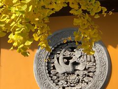 -龙华素斋(龙华路店)