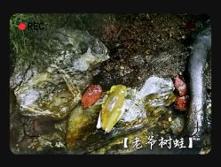 -酷嗒动物文化乐园(cutezoo西溪乐天城店)