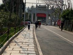 -梧桐山风景名胜区