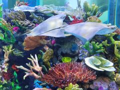 -成都浩海立方海洋公园