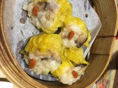 添好运点心专门店(北角店)-添好运点心专门店(北角店)