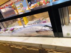 -冀粤香海鲜自助餐厅(西美五洲店)
