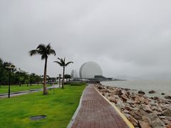 -野狸岛