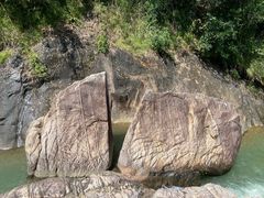 -广州白江湖森林公园