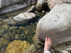 -秦岭终南山世界地质公园翠华山景区