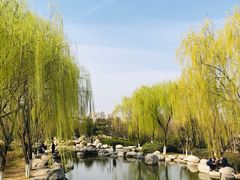 -西安青龙寺遗址景区