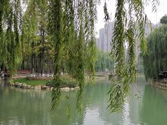 -温江公园