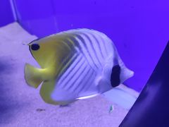 -重庆欢乐海底世界