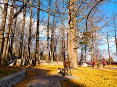 -阳台山自然风景区
