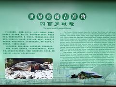 -西园寺
