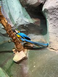 -Zoolung Zoolung动物主题公园(海信广场店)