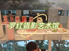 -罗红摄影艺术馆