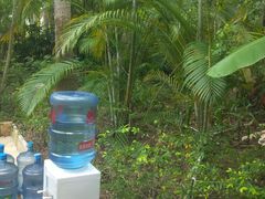 -三亚珠江南田温泉度假区