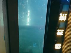 -洛阳龙门海洋馆