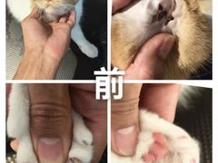 -听TA说宠咖·宠物生活馆(天韵水岸店)