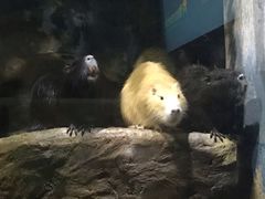 -蓬莱欧乐堡海洋极地世界