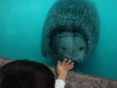 -嘉兴海底世界
