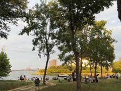 -北龙湖湿地公园