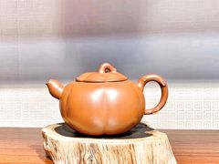 -人民防洪胜利纪念塔