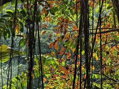 -深圳国际园林花卉博览园