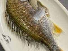 -吴记富苑(朝阳店)