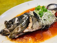 -苏浙汇(朝外店)