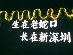 -蚝老板海鲜烧烤大排档(码头店)