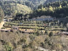 -红山村