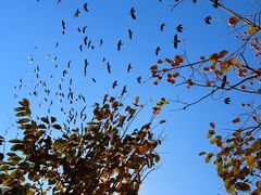 -安德鲁户外烧烤帐篷营地(马泉营店)