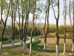 -大兴滨河森林公园