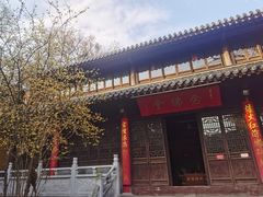 -灵谷景区