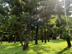 -深圳湾公园(南山区)