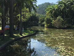 -滴水岩森林公园