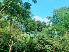 -杭州少年儿童公园