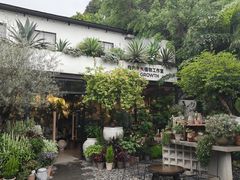 -自由生长植物工作室(深港花卉中心店)