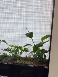 -重庆军科整形美容医院