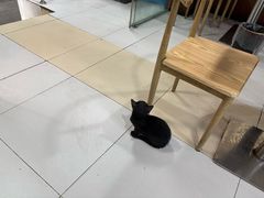 -滋味烤鱼(祥和里店)