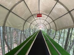 -藏龙百瀑风景区