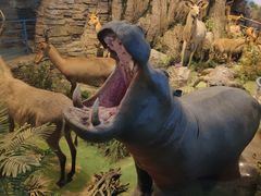 -陕西自然博物馆