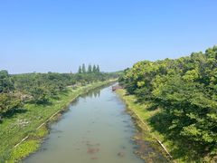 -上海海湾国家森林公园